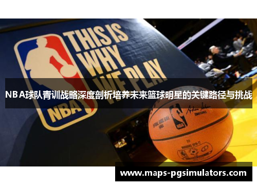 NBA球队青训战略深度剖析培养未来篮球明星的关键路径与挑战