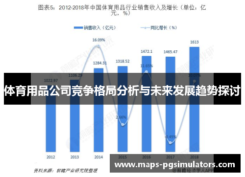 体育用品公司竞争格局分析与未来发展趋势探讨