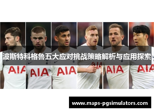 波斯特科格鲁五大应对挑战策略解析与应用探索