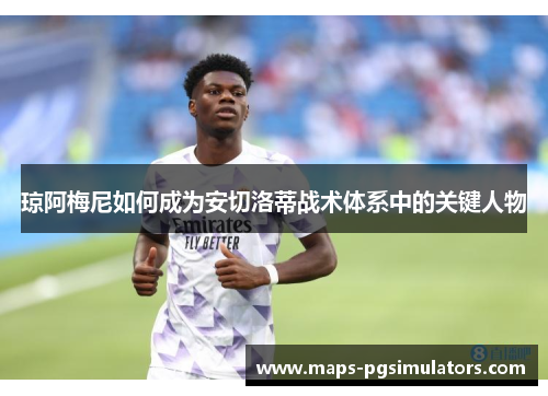 琼阿梅尼如何成为安切洛蒂战术体系中的关键人物