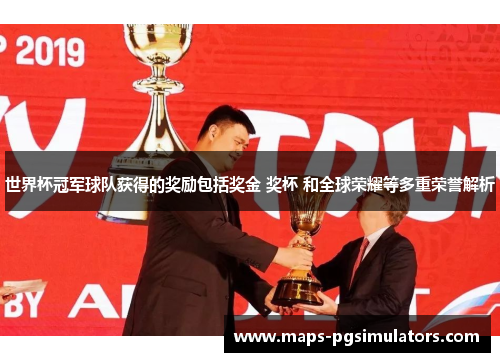 世界杯冠军球队获得的奖励包括奖金 奖杯 和全球荣耀等多重荣誉解析