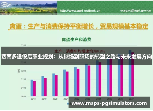 费南多退役后职业规划：从球场到职场的转型之路与未来发展方向