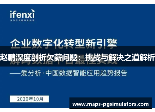 赵鹏深度剖析欠薪问题：挑战与解决之道解析