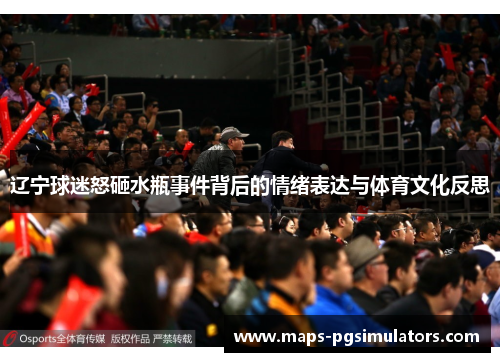 辽宁球迷怒砸水瓶事件背后的情绪表达与体育文化反思