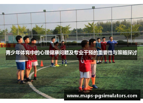 青少年体育中的心理健康问题及专业干预的重要性与策略探讨