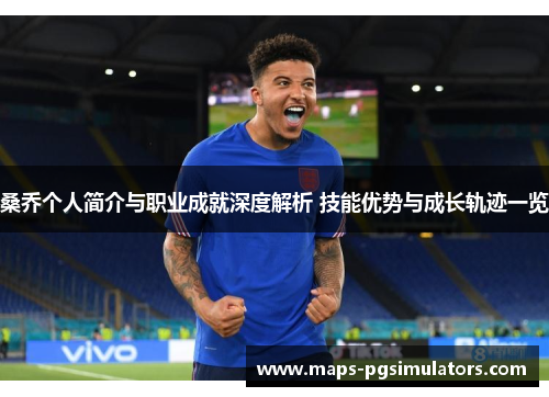 桑乔个人简介与职业成就深度解析 技能优势与成长轨迹一览