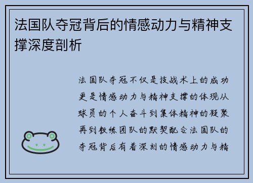 法国队夺冠背后的情感动力与精神支撑深度剖析